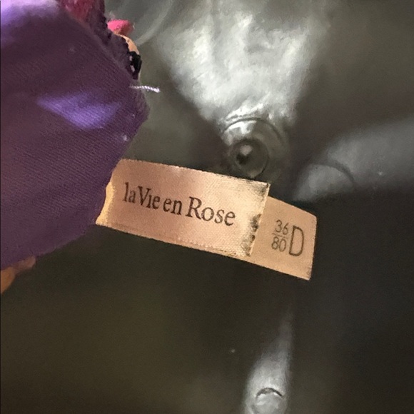 La Vie En Rose Violet underwire Bra with Lace Accents, 36D - Picture 6 of 9